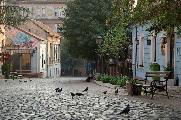 kafane skadarlija